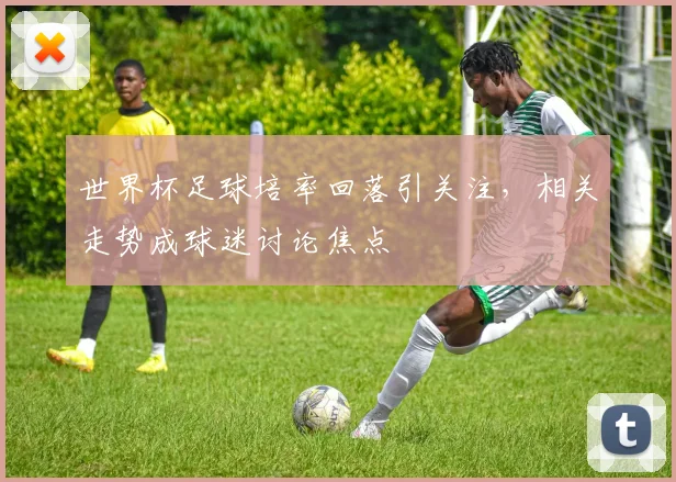 世界杯足球培率回落引关注,相关走势成球迷讨论焦点